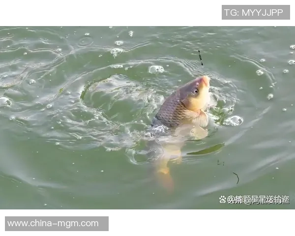 本周末，全国垂钓高手、骑行健将都往这儿赶